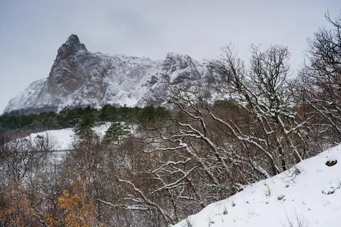 Winter landscape Stock Photos