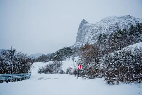 Winter landscape Stock Photos
