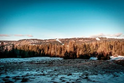 A winter landscape Foto stock