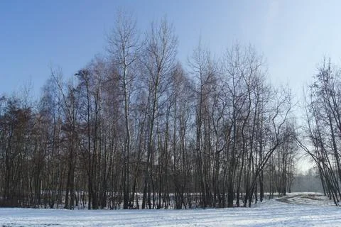 Winter landscape Stock Photos