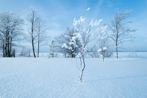 Winter landscape Foto stock