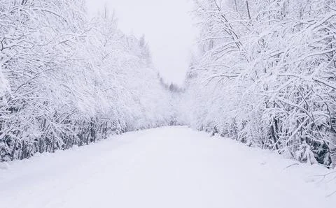 Winter landscape Stock-Fotos