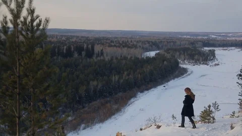 Winter landscape of pine forest, shooting from above Stock-Footage 73275892