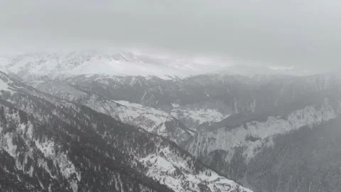 Winter landscape with pine trees covered with snow in spruce forest 库存影片 237820691