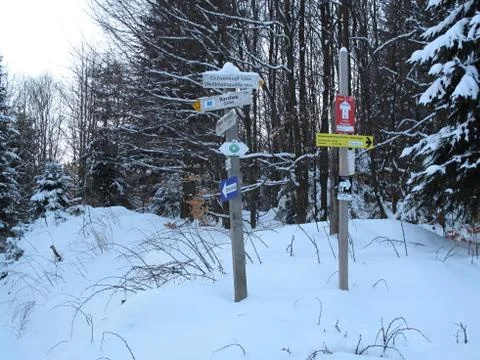 Winter landscape with pointer Foto stock