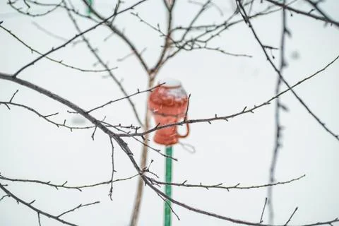 Winter landscape. Pot hangs on a tree in winter. Stock Photos