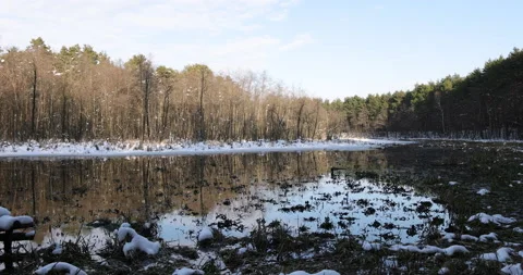 Winter landscape on the river, 4K panorama Stock Footage 163967117