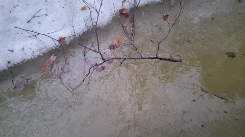 Winter landscape with river and trees 库存影片 49343157