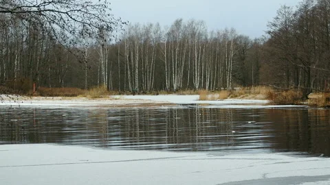 Winter landscape river covered white ice, birch trees reflected in the water Stock Footage 225077678