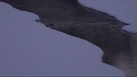 Winter landscape with a river Video stock 21613633