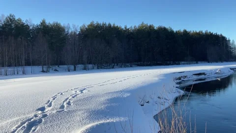 Winter landscape by the river. Stock Footage 232937414