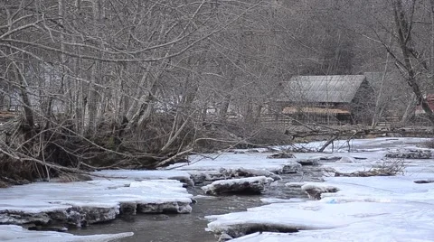 Winter landscape on a river of lowland bordered by a small wood covered by snow Stock Footage 60779356