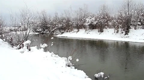Winter landscape on a river of lowland bordered by a small wood covered by snow Stock Footage 60781545