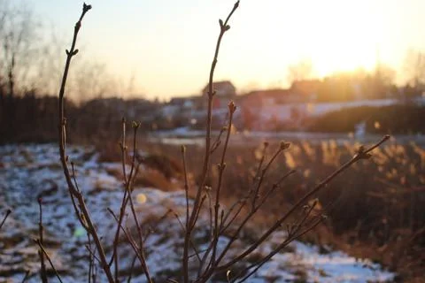 The winter landscape by the river Foto stock