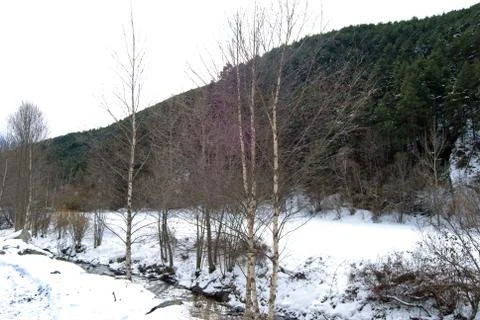 Winter landscape with a river Stock Photos
