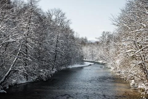 Winter landscape by the river Stock Photos