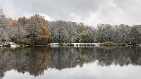 Winter landscape by the river, the trees seem to be silver, reflected in the wat Stock Footage 254497662
