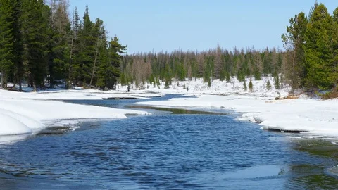 Winter landscape river water forest Stock Footage 74254033