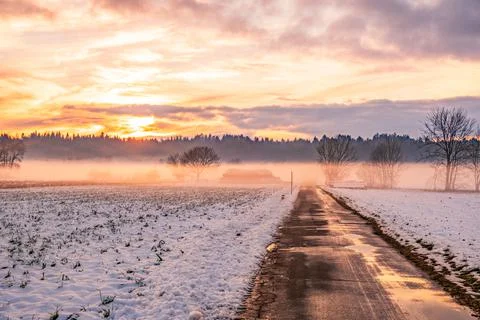 Winter landscape with road, white fields Stock Photos
