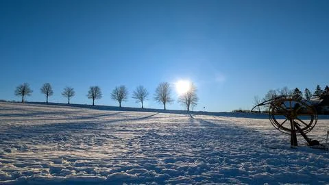 Winter landscape with row of trees and bright sun over snowy field. Stock Photos