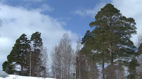 Winter landscape in Russia Stock Footage 68042297