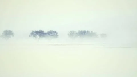 Winter landscape as seen through the wire fence. 4K video. Seamless loop. Stock Footage 341146819