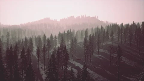 Winter landscape in Semenic mountains Stock Footage 231809566