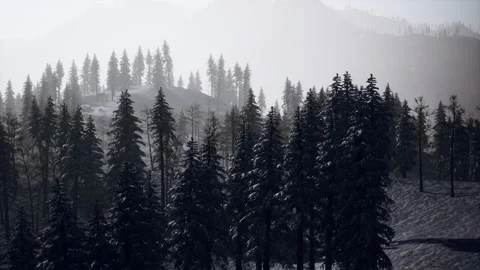 Winter landscape in Semenic mountains Video stock 238693486