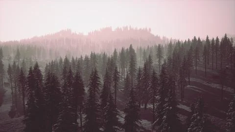 Winter landscape in Semenic mountains Stock Illustration