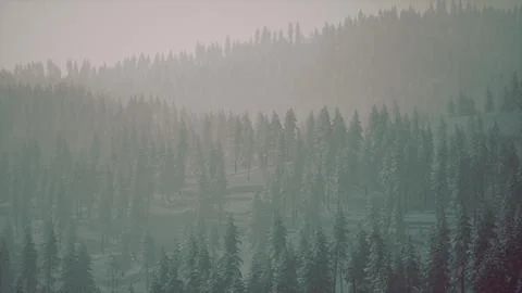 Winter landscape in Semenic mountains Illustrazione stock