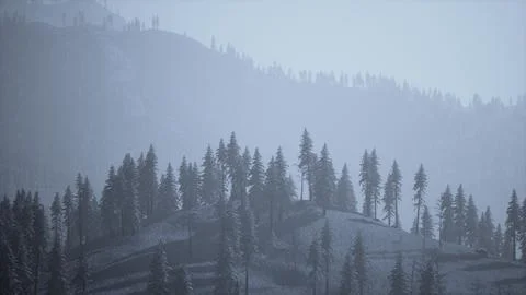 Winter landscape in Semenic mountains Illustrazione stock