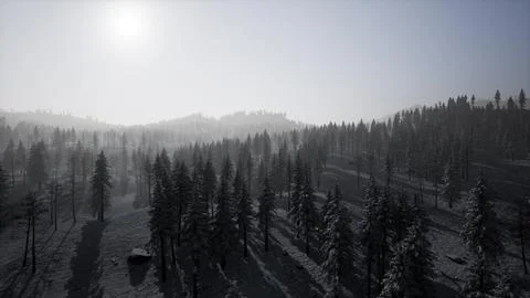 Winter landscape in Semenic mountains Stock Illustration