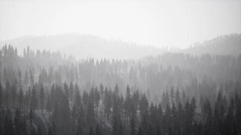 Winter landscape in Semenic mountains Stock Illustration