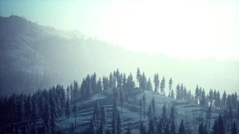 Winter landscape in Semenic mountains Stock Illustration