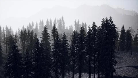 Winter landscape in Semenic mountains Stock Illustration
