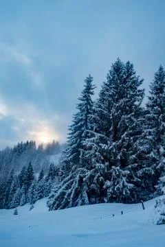 Winter landscape with settling sun Stock Photos