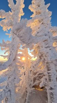 Winter landscape in Sheregesh ski resort in Russia, located in Mountain Shoriya Stock Photos