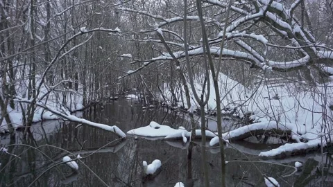 Winter landscape show with snow falling on a creek. Pleasant and soothing river Stock Footage 146851272