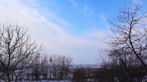 Winter Landscape: Sky and Trees Stock Footage 72876158