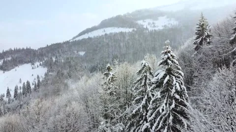 Winter landscape on the slopes of the mountains, snow-covered forest at the foot Stock Footage