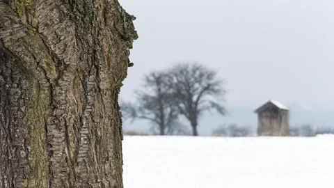 Winter landscape with small barn Foto stock