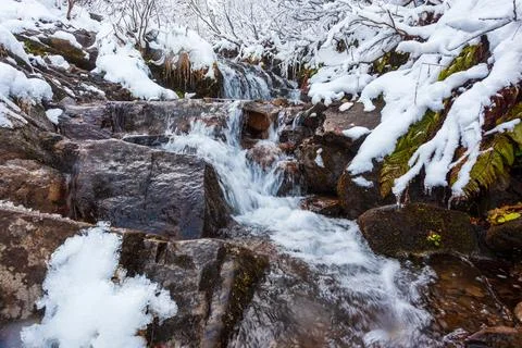 Winter landscape, a small fast stream flows in the forest among the trees Stock Photos