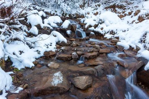 Winter landscape, a small fast stream flows in the forest among the trees Stock Photos