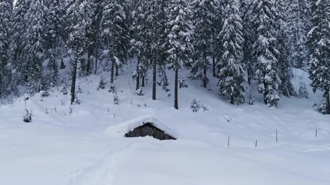 Winter landscape. Snow-covered abandoned hut on the background of Carpathian  Video stock 219945779