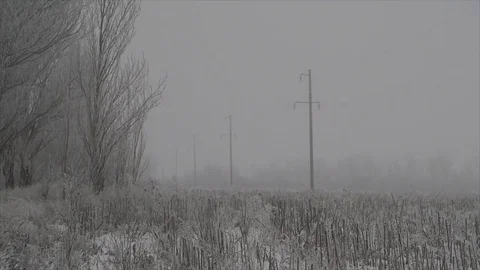 Winter landscape snow-covered electrical wires and stakes on the field, Ukraine. Stock Footage 71067248