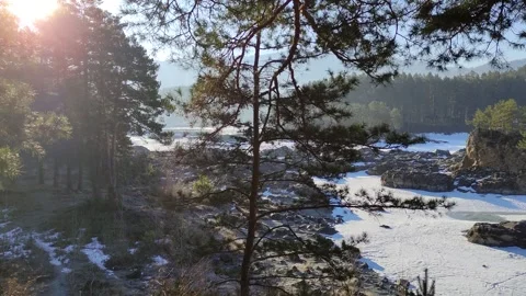 Winter landscape with snow-covered forest in the Altai mountains. Stock Footage 304979687