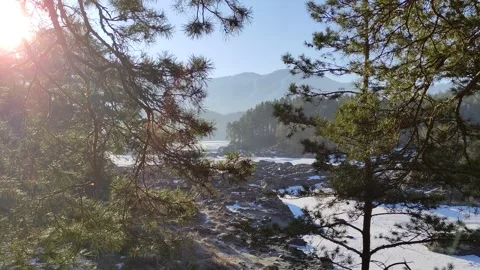 Winter landscape with snow-covered forest in the Altai mountains. Stock Footage 304979691