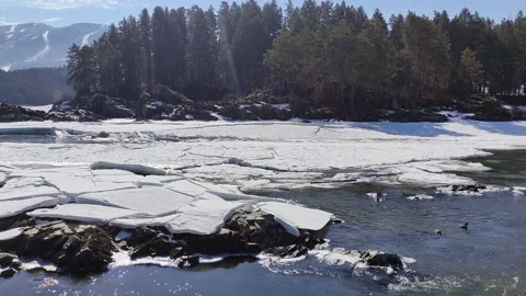 Winter landscape with snow-covered forest in the Altai mountains. Stock Footage 304979737