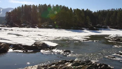 Winter landscape with snow-covered forest in the Altai mountains. Stock Footage 305174293