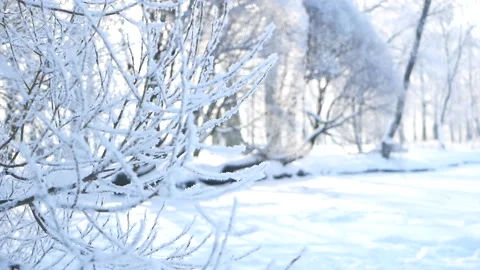 Winter landscape - a snow-covered park with beautiful trees. Stock-Footage 166779961